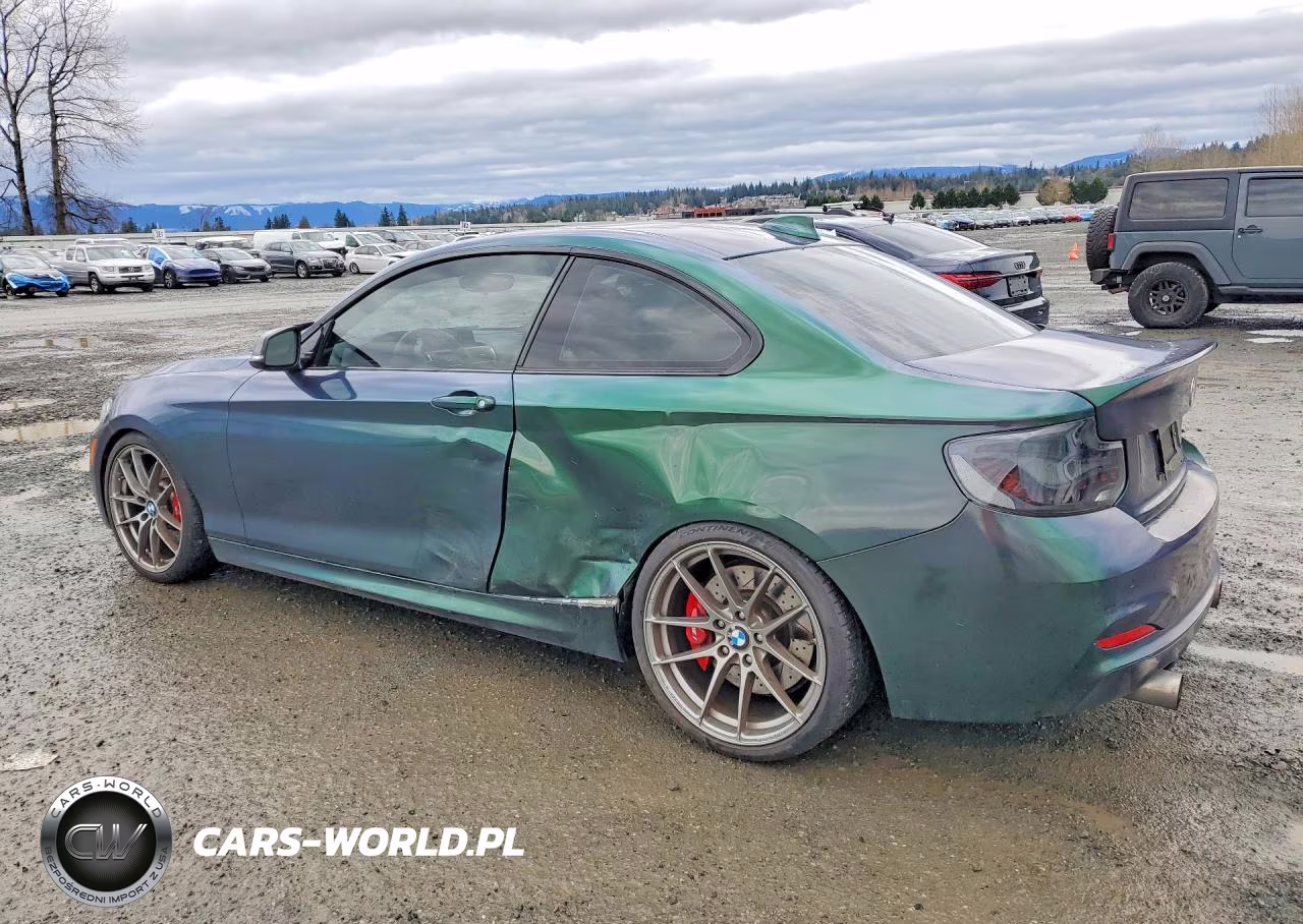 2016 BMW M235Xi VIN:WBA1J9C58GV372032 - 2