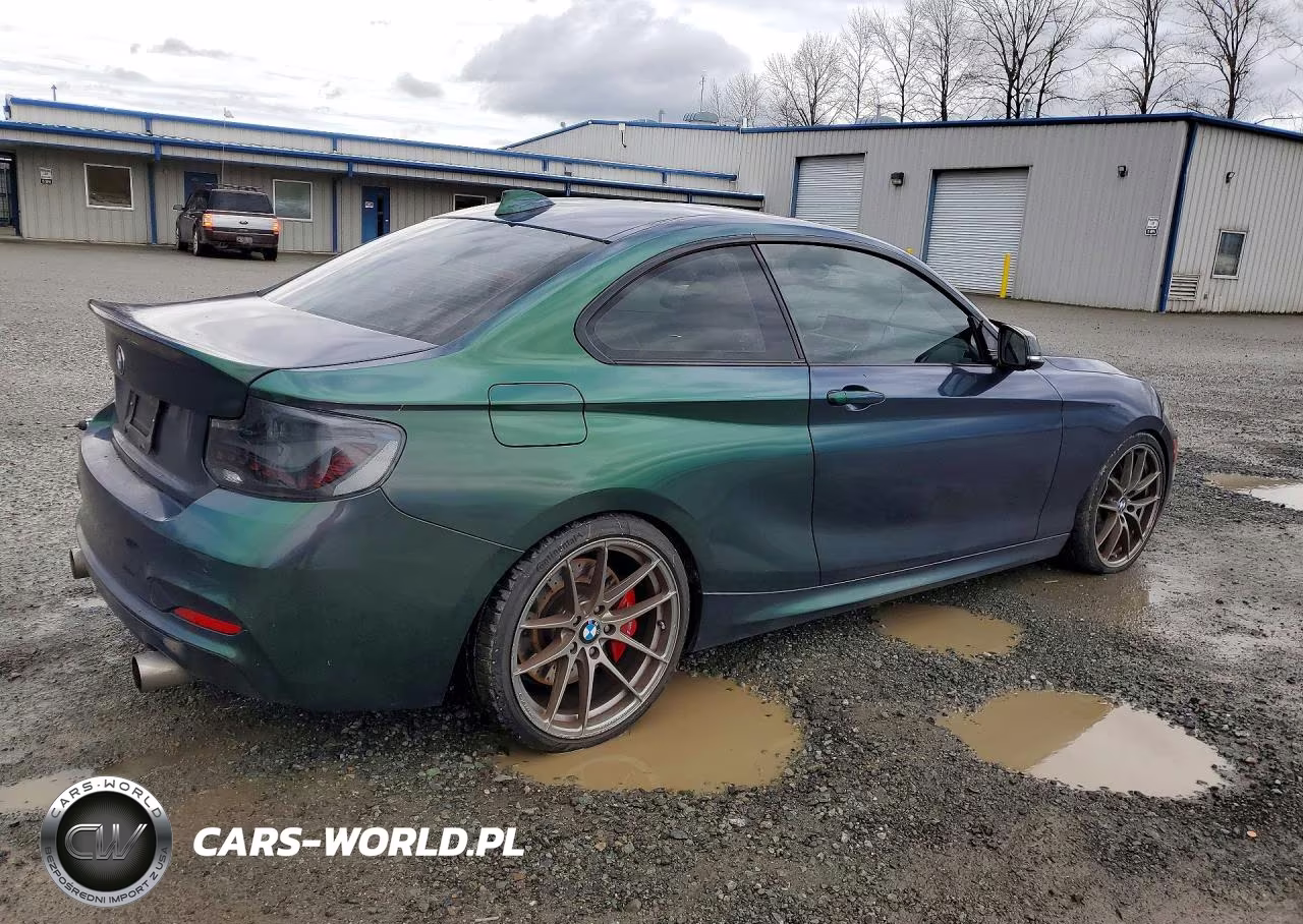 2016 BMW M235Xi VIN:WBA1J9C58GV372032 - 3