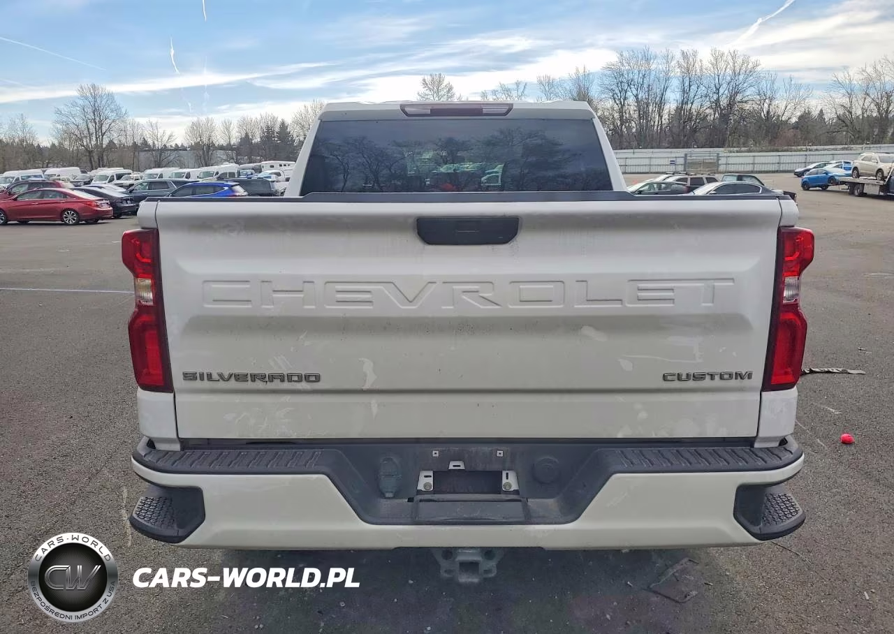 2020 Chevrolet Silverado K1500 Custom VIN:3GCPYBEH9LG196196 - 6