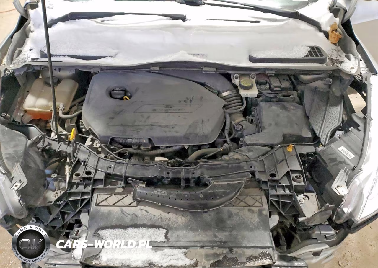 2014 Ford Escape Se VIN:1FMCU0GX0EUD93420 - 12