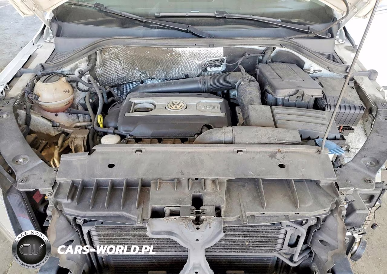 2017 Volkswagen Tiguan S VIN:WVGAV7AX1HK001938 - 11