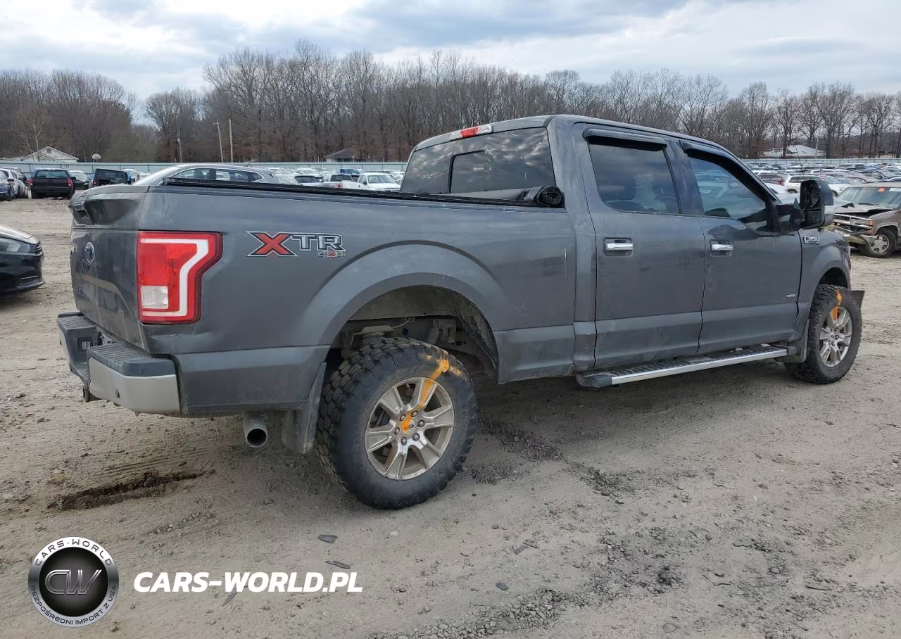 2017 Ford F150 Supercrew Supercrew VIN:1FTFW1EG0HFC67541 - 3