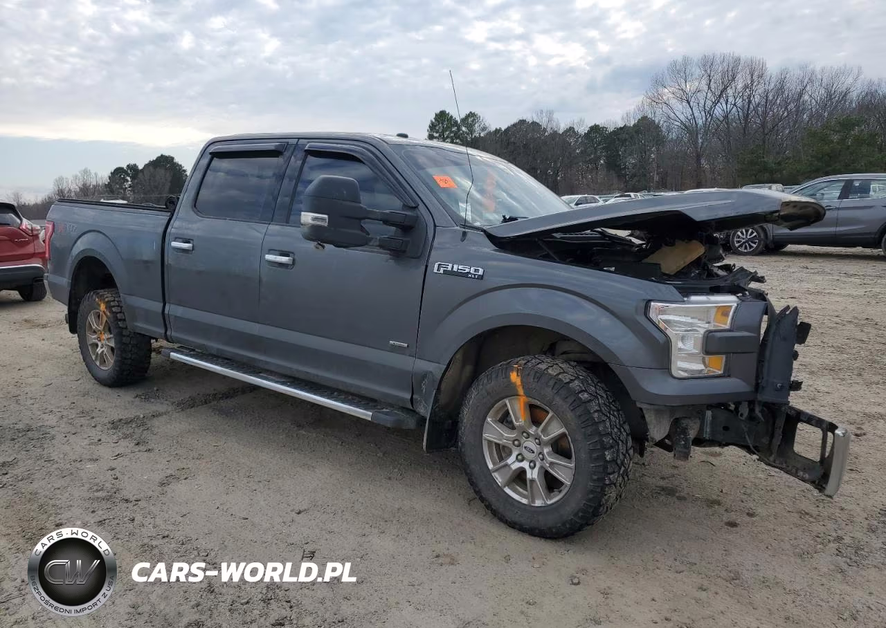 2017 Ford F150 Supercrew Supercrew VIN:1FTFW1EG0HFC67541 - 4