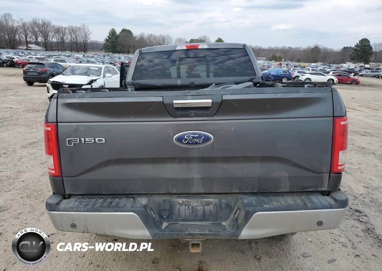 2017 Ford F150 Supercrew Supercrew VIN:1FTFW1EG0HFC67541 - 6