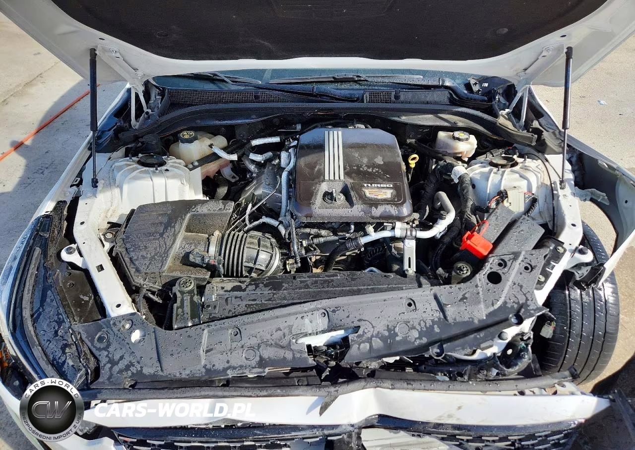 2021 Cadillac Ct5 Premium Luxury VIN:1G6DN5RK0M0110558 - 11