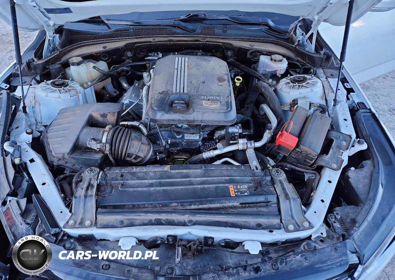 2021 Cadillac Ct4 Premium Luxury VIN:1G6DB5RK4M0145578 - 11