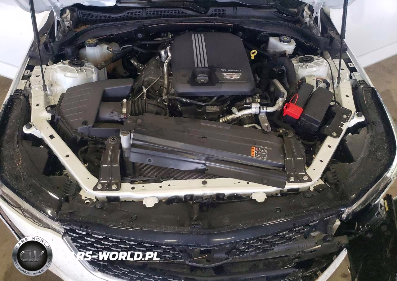 2022 Cadillac Ct4 Luxury VIN:1G6DA5RK8N0136046 - 11