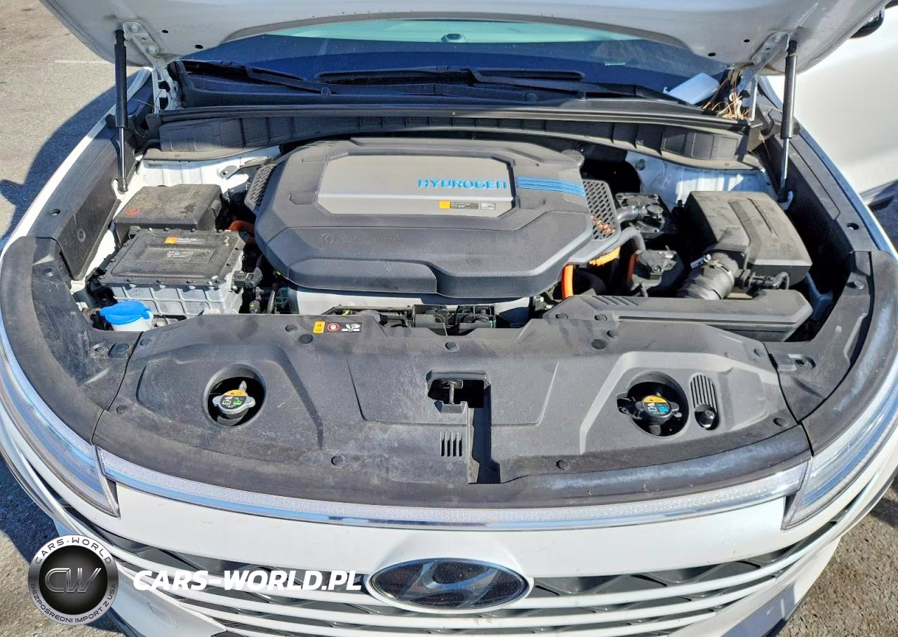 2019 Hyundai Nexo Blue VIN:KM8J74A61KU001465 - 11