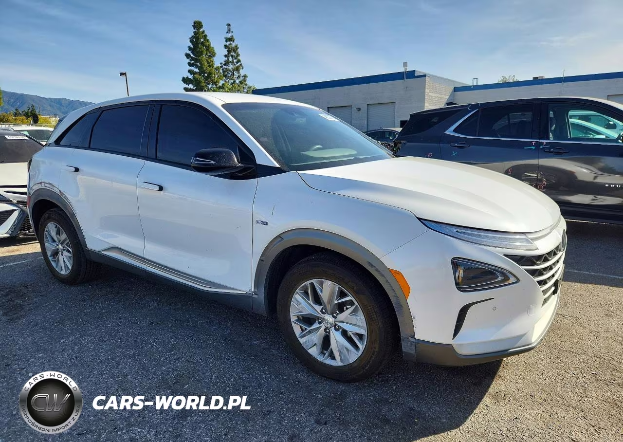 2019 Hyundai Nexo Blue VIN:KM8J74A61KU001465 - 4