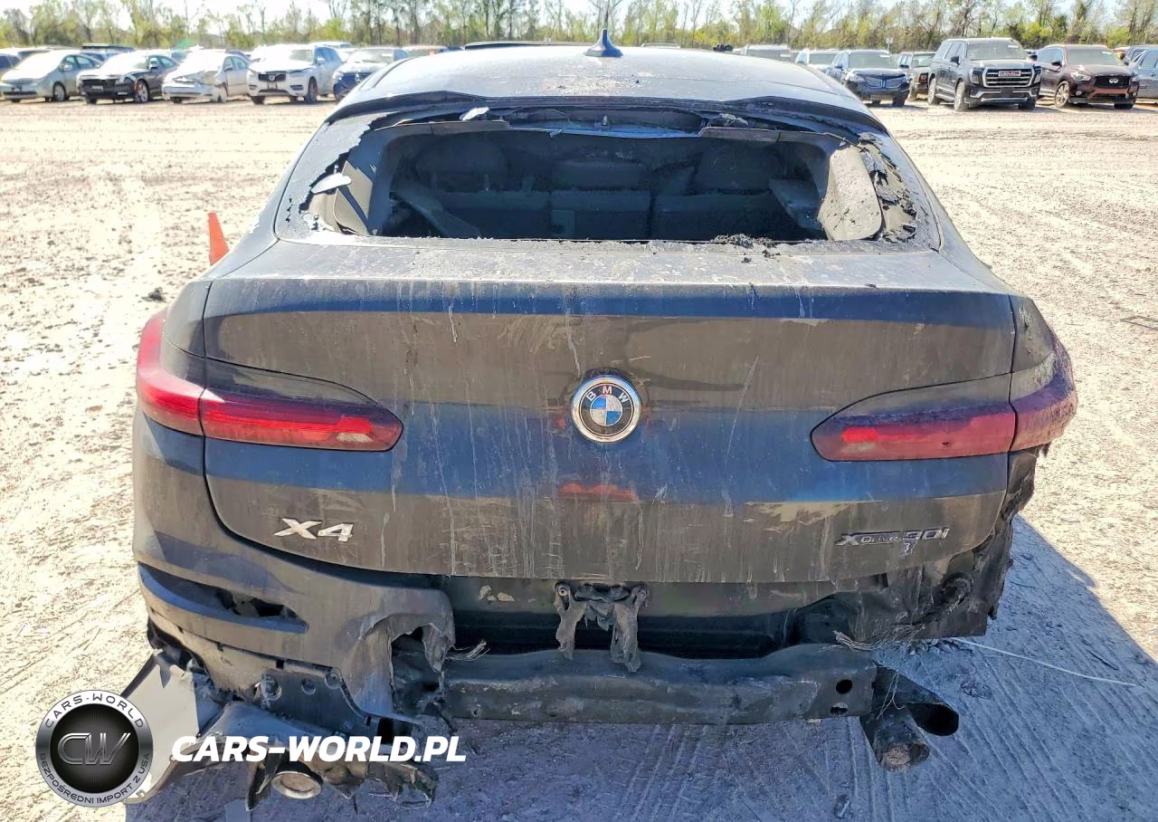 2020 BMW X4 xDrive30I VIN:5UX2V1C02L9B63780 - 6