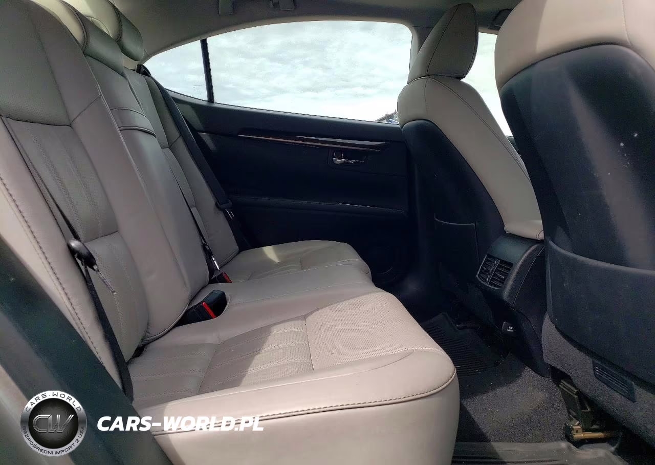 2018 Lexus Es 300H Base VIN:JTHBW1GG5J2169029 - 10