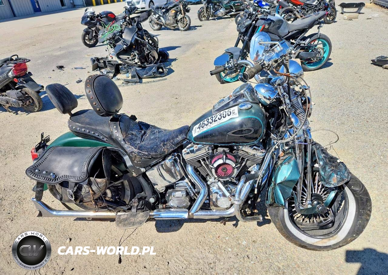 2002 Harley-Davidson Flsts