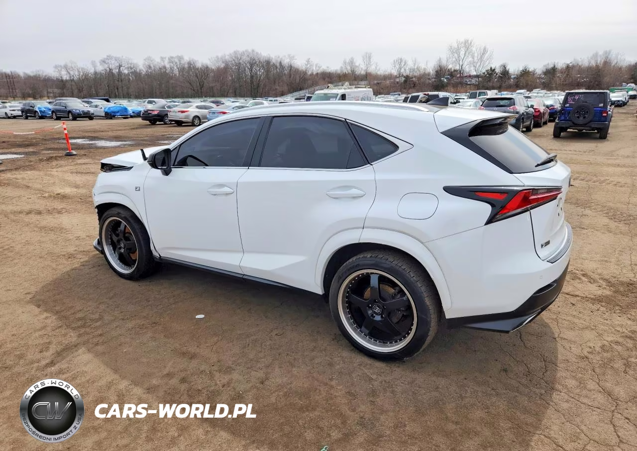 2020 Lexs Nx300 VIN:JTJSARDZ6L5006196 - 2