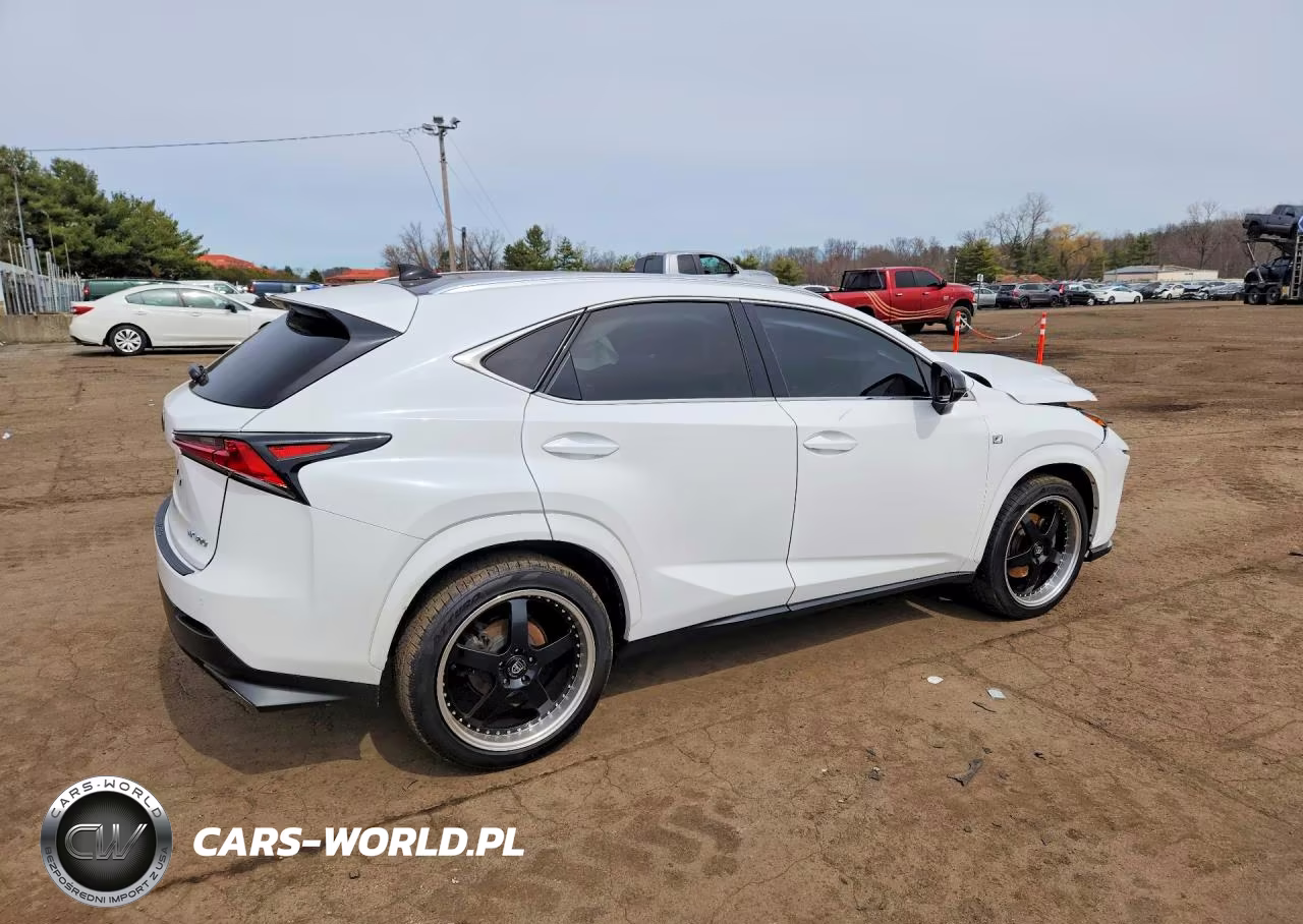 2020 Lexs Nx300 VIN:JTJSARDZ6L5006196 - 3