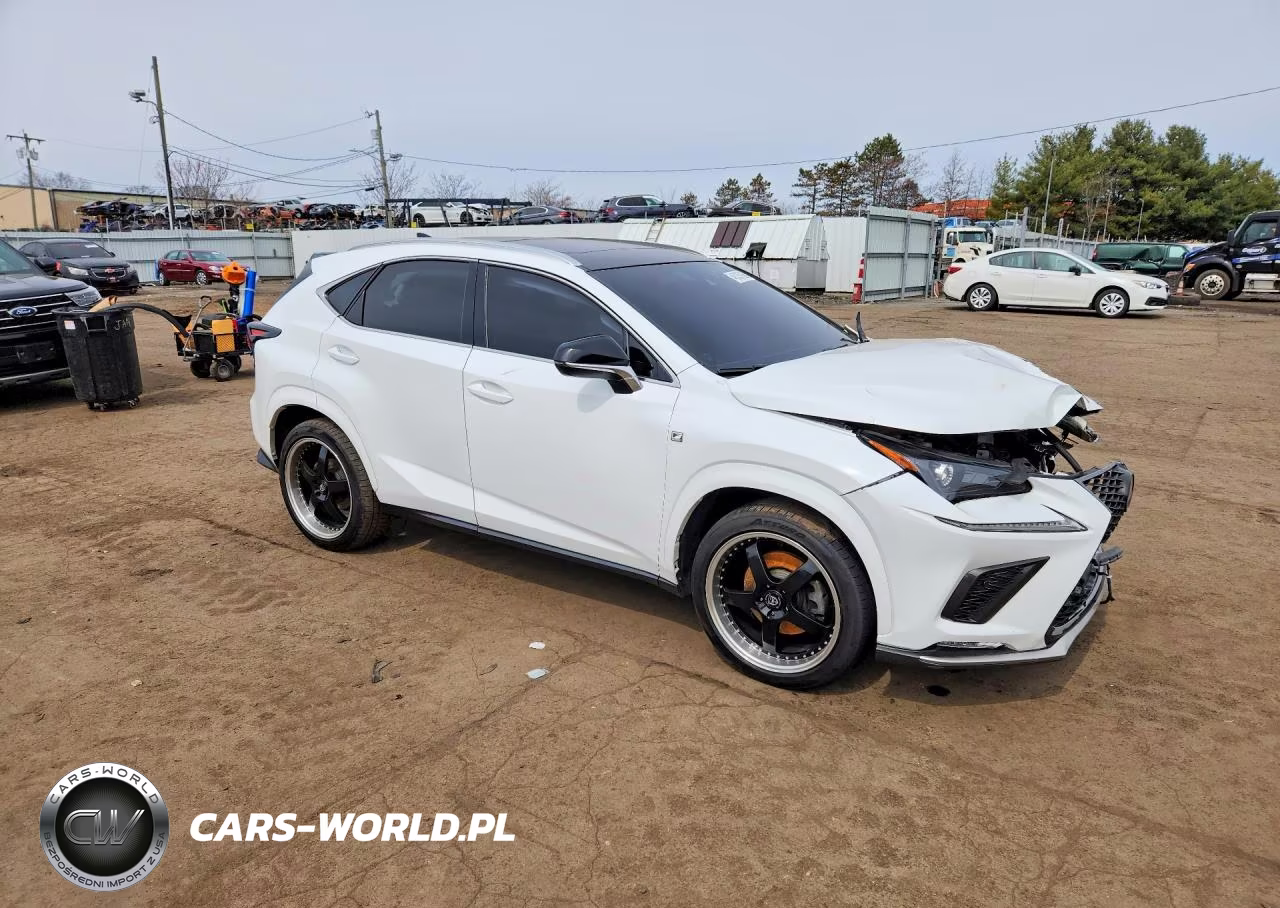 2020 Lexs Nx300 VIN:JTJSARDZ6L5006196 - 4