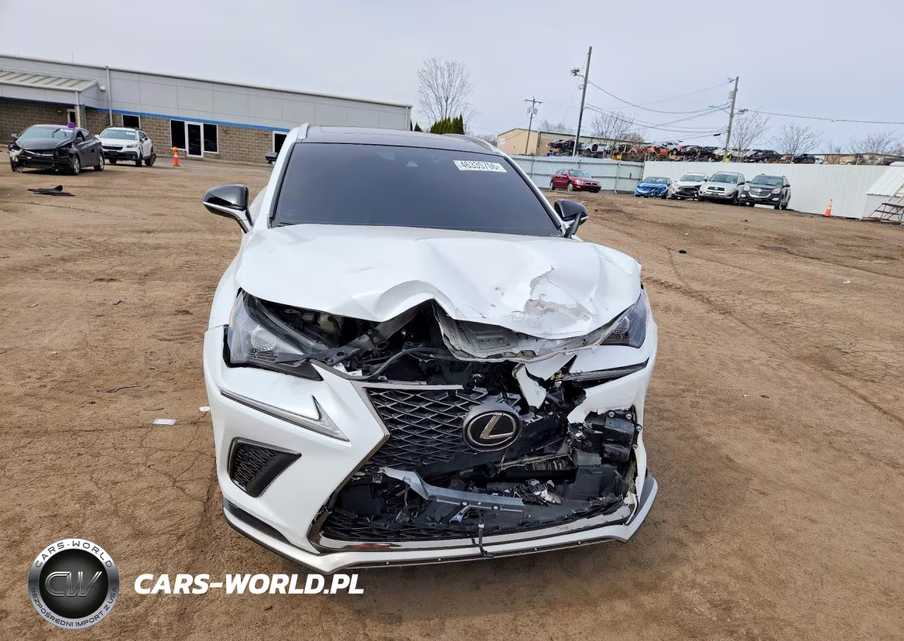 2020 Lexs Nx300 VIN:JTJSARDZ6L5006196 - 5