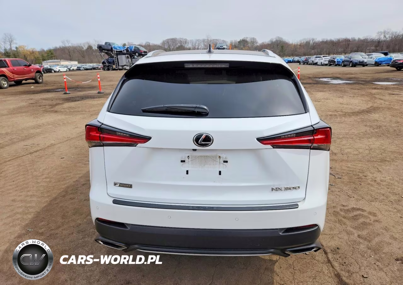 2020 Lexs Nx300 VIN:JTJSARDZ6L5006196 - 6