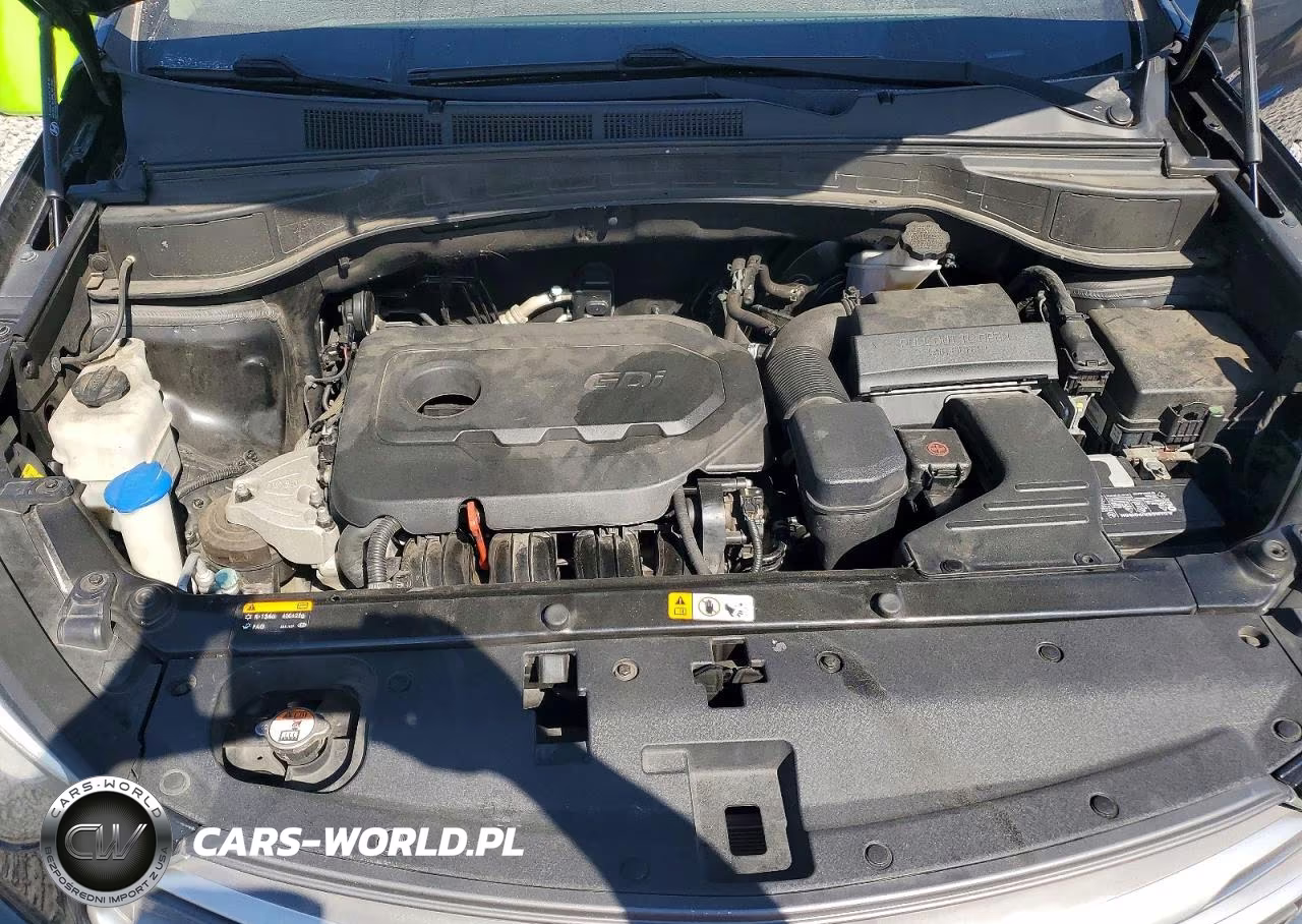 2017 Hyundai Santa Fe Sport 2.4L VIN:5NMZU3LB6HH030643 - 12