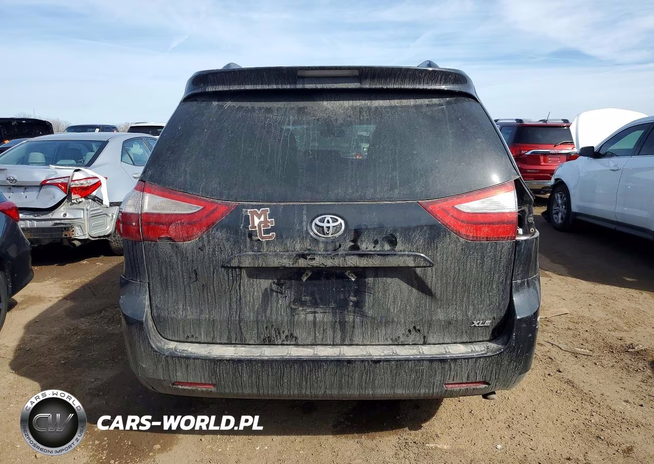 2016 Toyota Sienna Xle 8-Passenger VIN:5TDYK3DC6GS721319 - 6