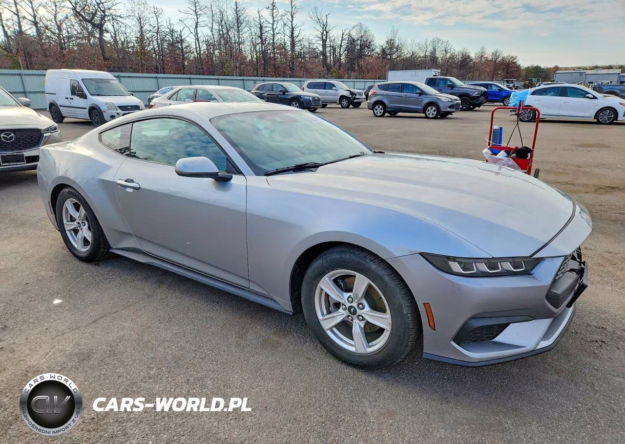 2024 Ford Mustang VIN:1FA6P8TH3R5110164 - 4