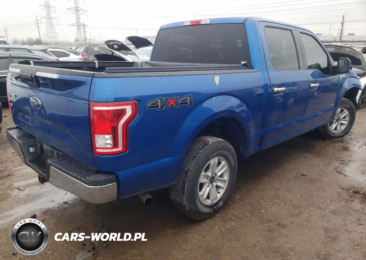 2017 Ford F150 Supercrew VIN:1FTEW1EP4HKD46990 - 3