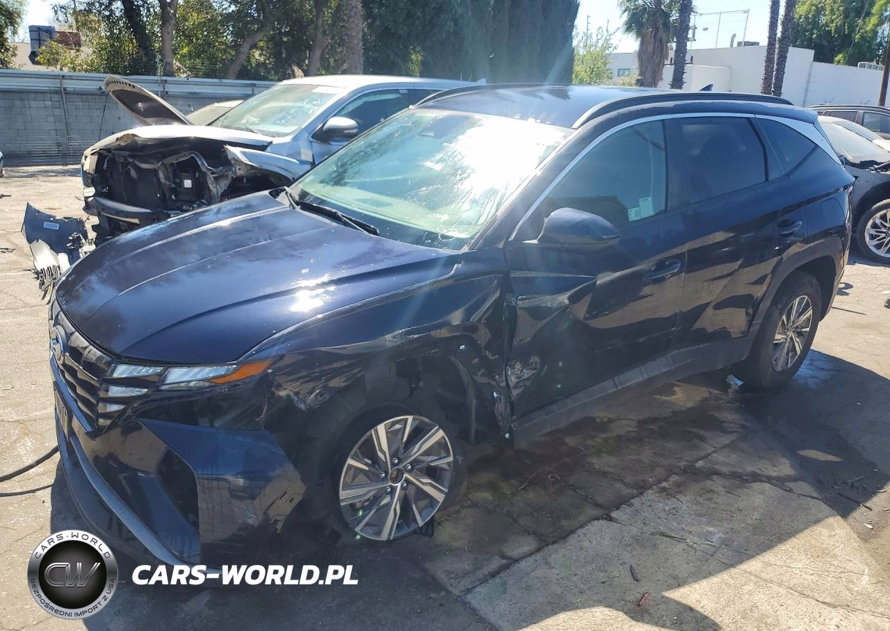 2024 Hyundai Tucson Hybrid Blue