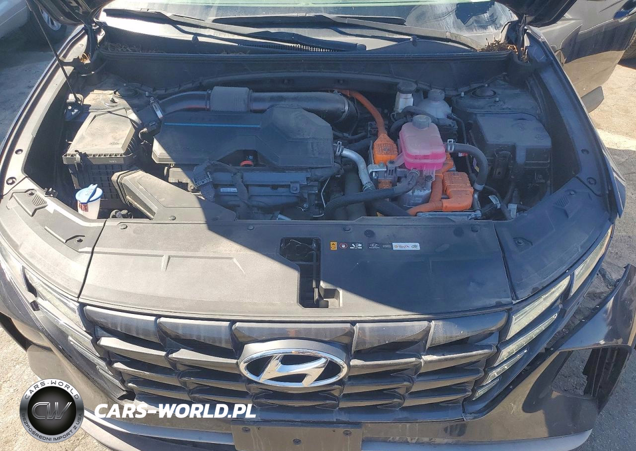 2024 Hyundai Tucson Hybrid Blue VIN:KM8JBCD10RU202728 - 12