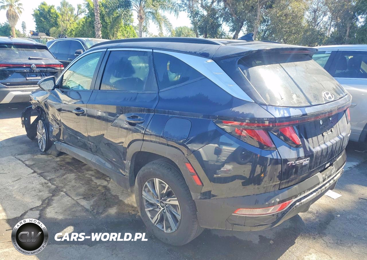 2024 Hyundai Tucson Hybrid Blue VIN:KM8JBCD10RU202728 - 2