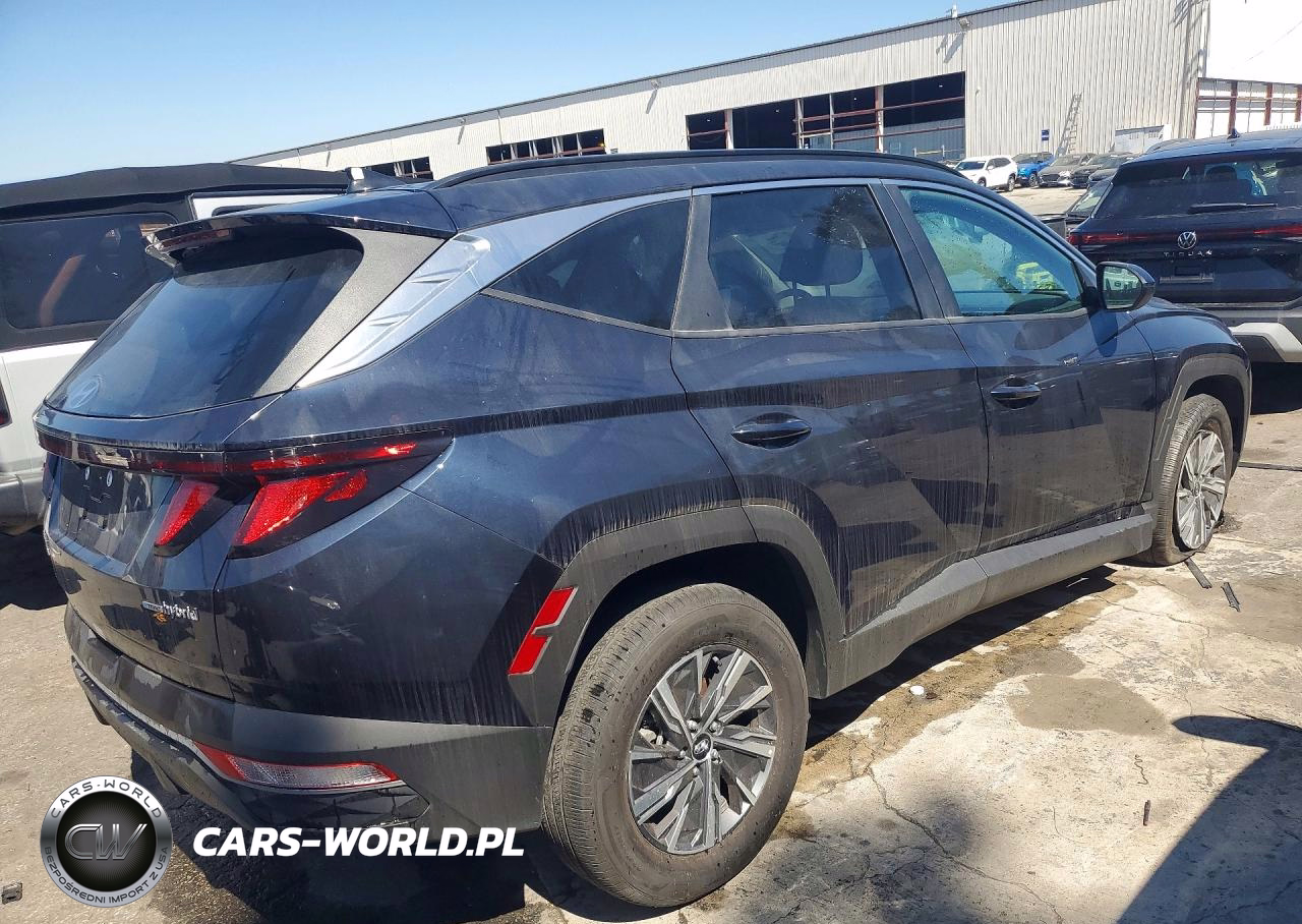 2024 Hyundai Tucson Hybrid Blue VIN:KM8JBCD10RU202728 - 3