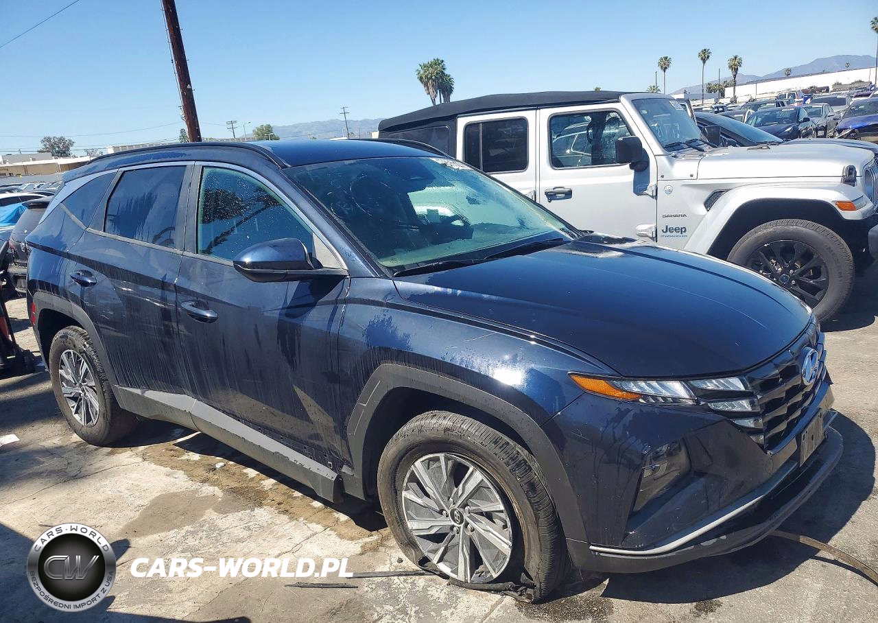 2024 Hyundai Tucson Hybrid Blue VIN:KM8JBCD10RU202728 - 4