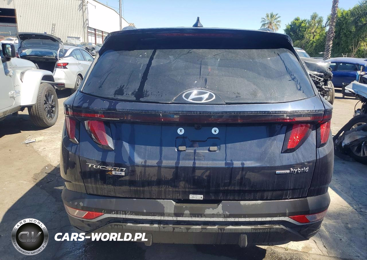 2024 Hyundai Tucson Hybrid Blue VIN:KM8JBCD10RU202728 - 6