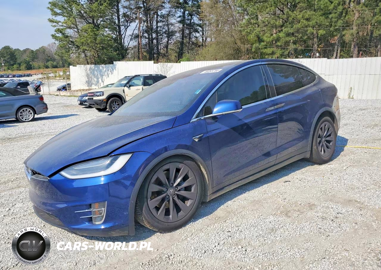2019 Tesla Model X