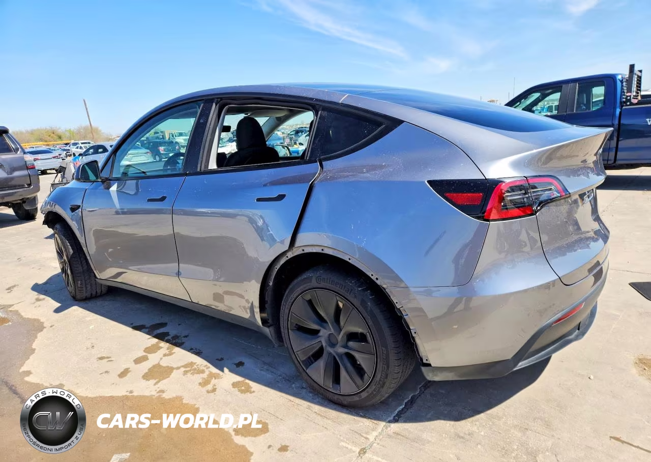 2025 Tesla Model Y VIN:7SAYGDED8SA356220 - 2
