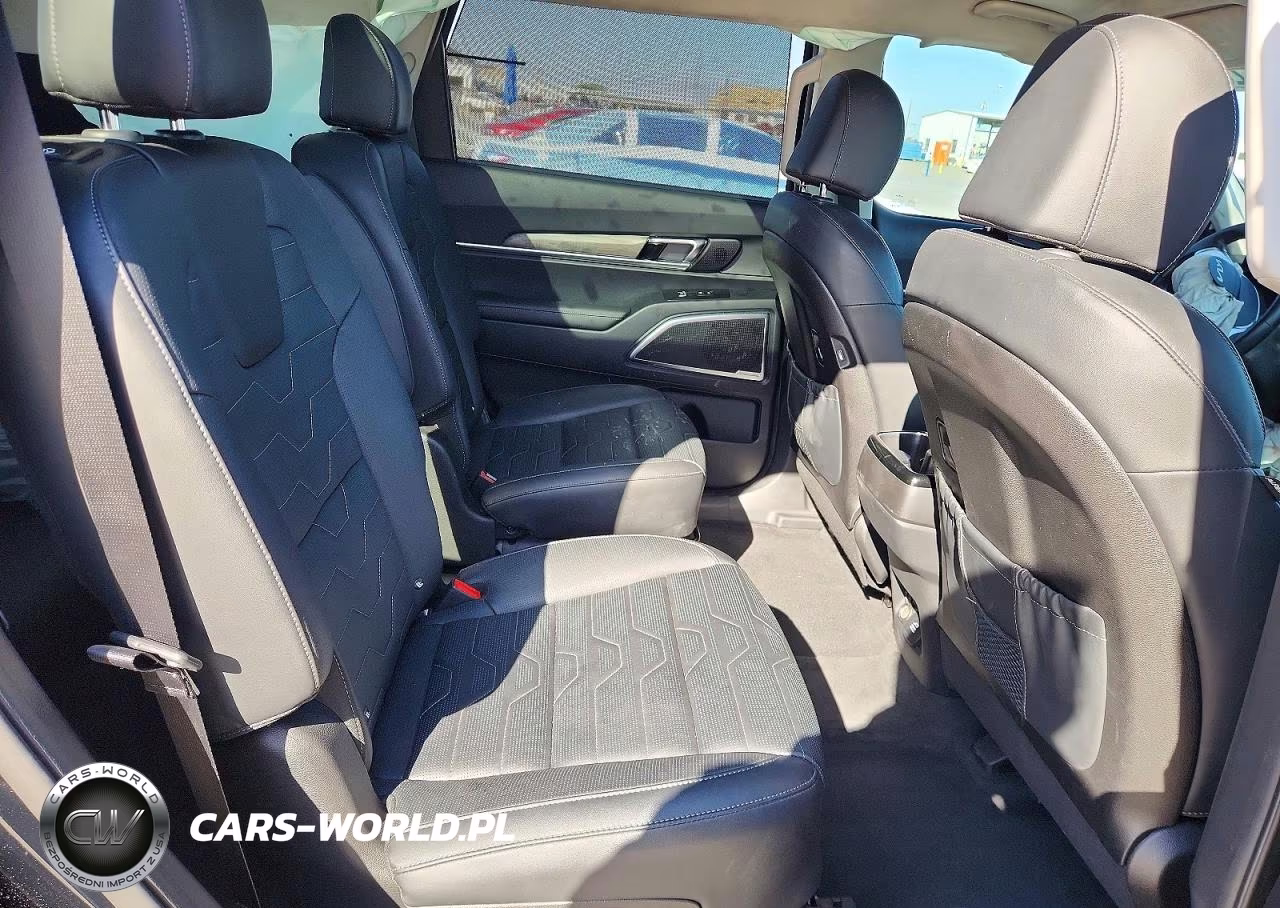 2022 Kia Telluride Sx VIN:5XYP5DHC3NG313678 - 10