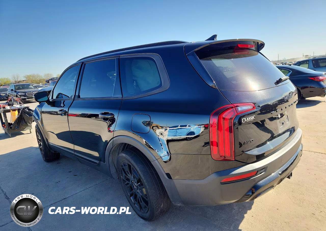 2022 Kia Telluride Sx VIN:5XYP5DHC3NG313678 - 2