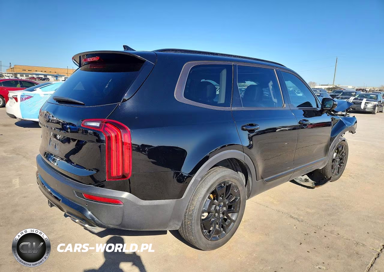 2022 Kia Telluride Sx VIN:5XYP5DHC3NG313678 - 3