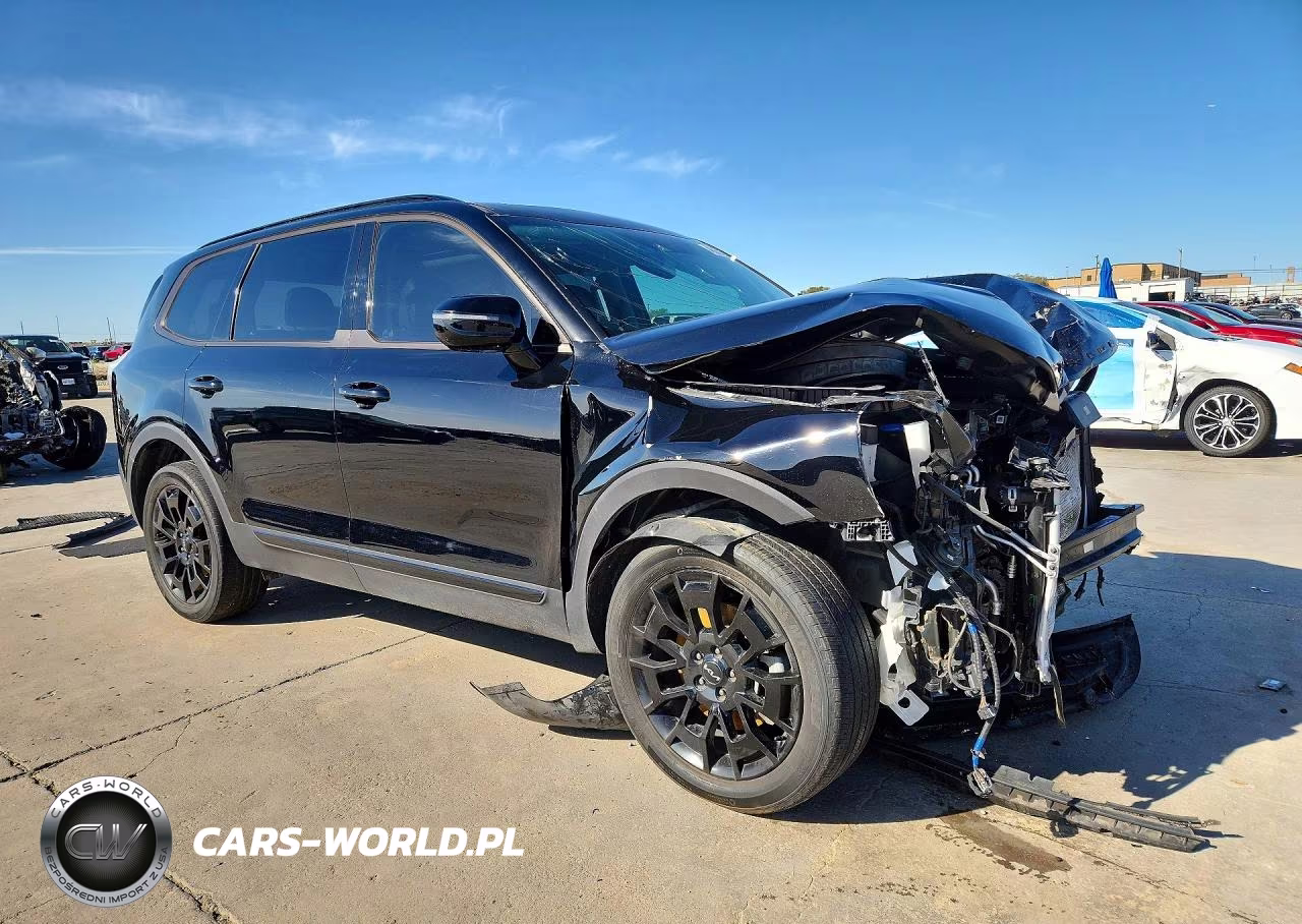 2022 Kia Telluride Sx VIN:5XYP5DHC3NG313678 - 4