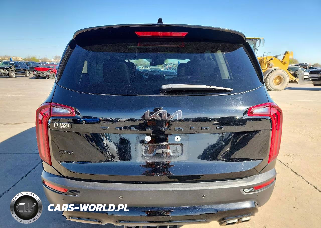 2022 Kia Telluride Sx VIN:5XYP5DHC3NG313678 - 6