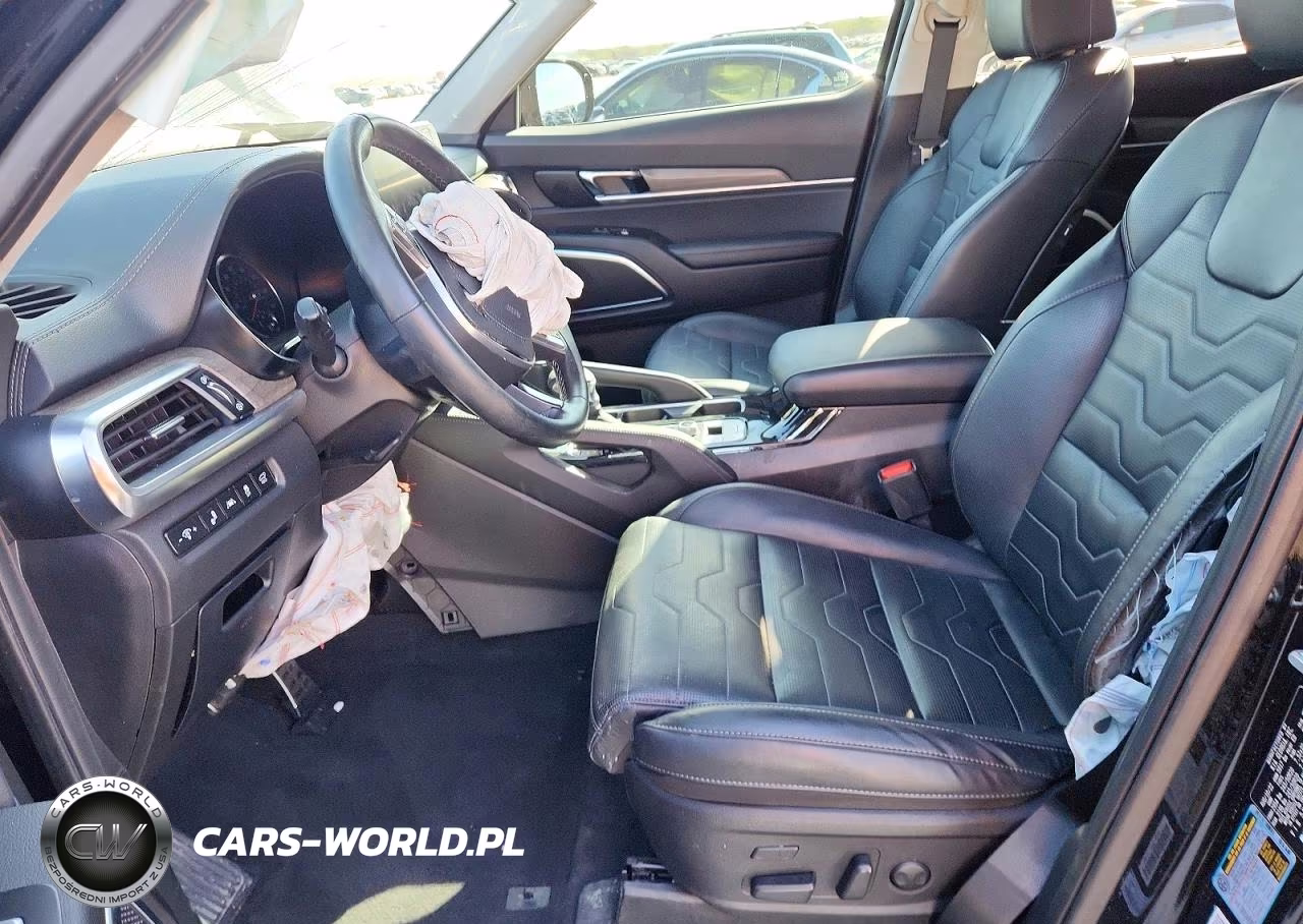 2022 Kia Telluride Sx VIN:5XYP5DHC3NG313678 - 7