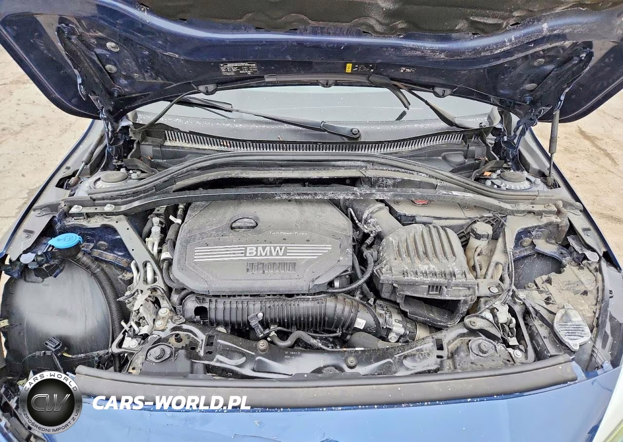 2023 BMW 228Xi VIN:WBA73AK07P7M54334 - 11