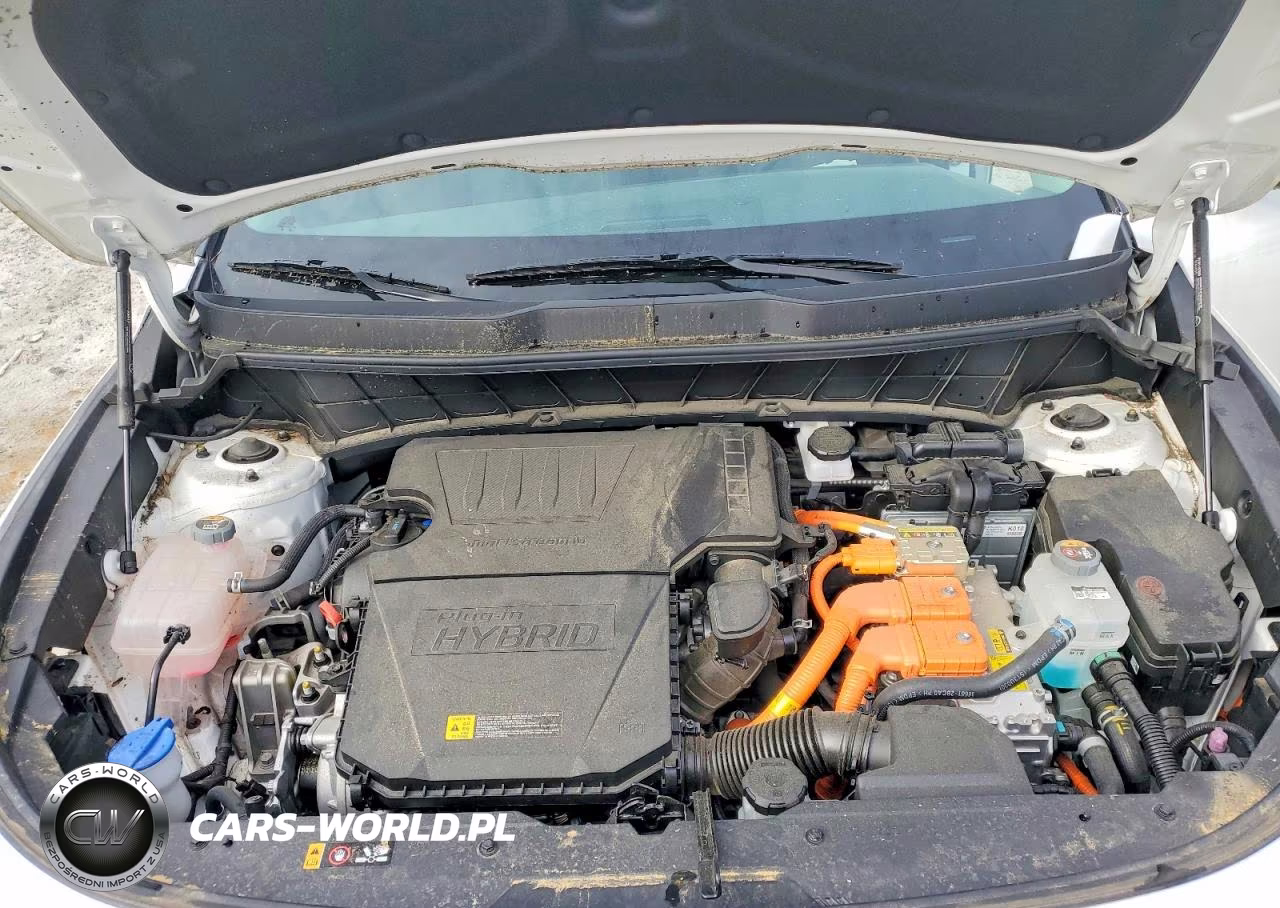 2024 Kia Niro Plug-In Hybrid Ex VIN:KNDCS3LF8R5124705 - 11