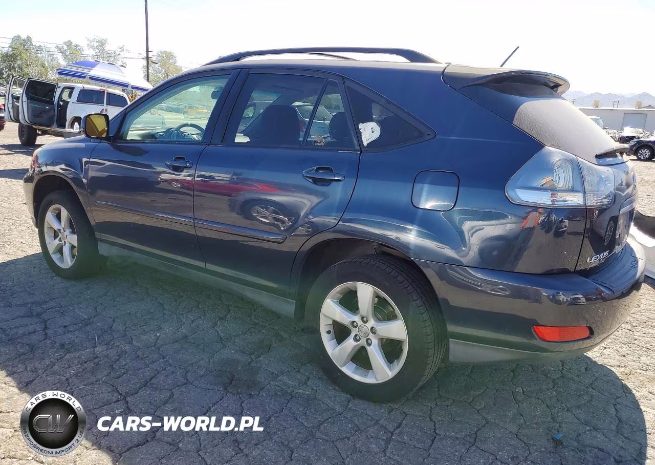 2004 Lexus Rx 330 VIN:JTJHA31U640040850 - 2