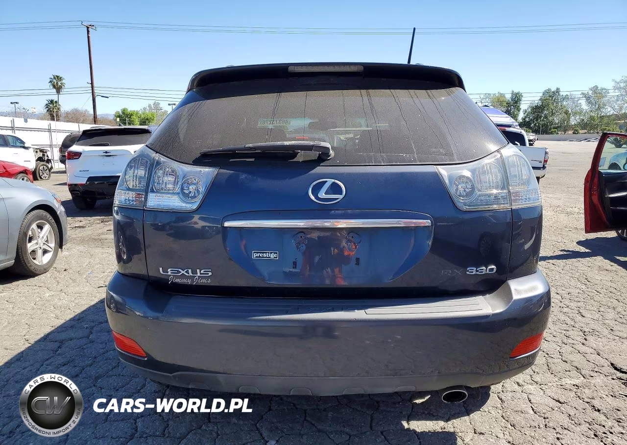2004 Lexus Rx 330 VIN:JTJHA31U640040850 - 6