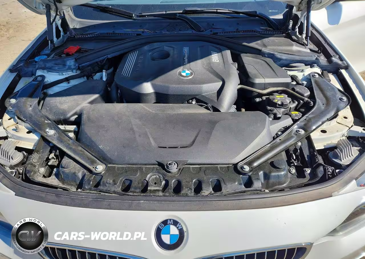 2018 BMW 430Xi VIN:WBA4Z3C55JEC56476 - 11