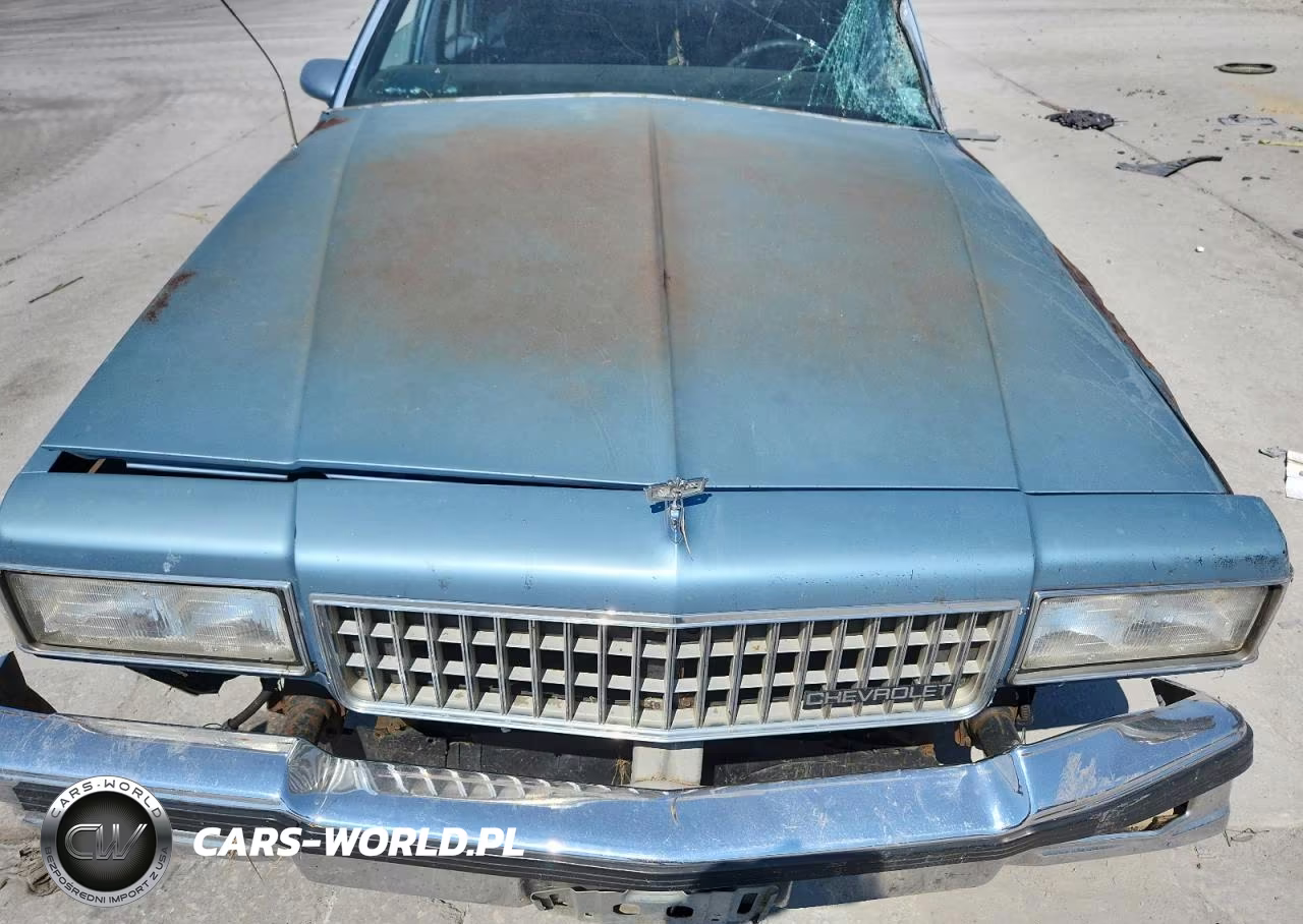 1989 Chevrolet Caprice Classic Brougham VIN:1G1BU51E0KR101843 - 11