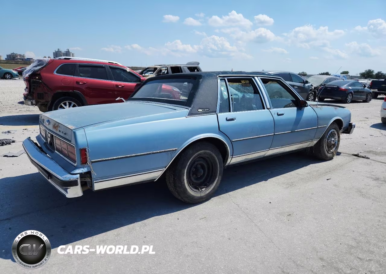 1989 Chevrolet Caprice Classic Brougham VIN:1G1BU51E0KR101843 - 3