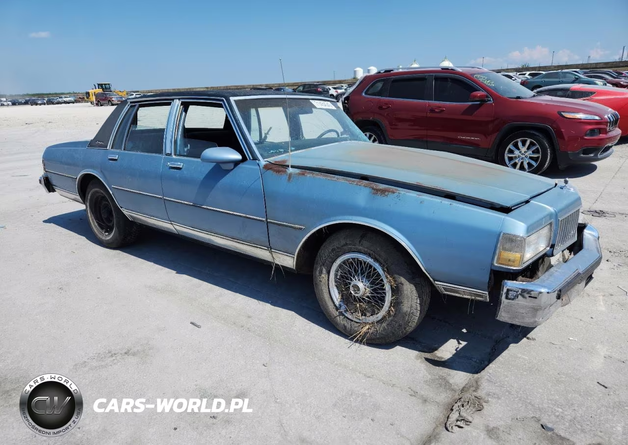 1989 Chevrolet Caprice Classic Brougham VIN:1G1BU51E0KR101843 - 4