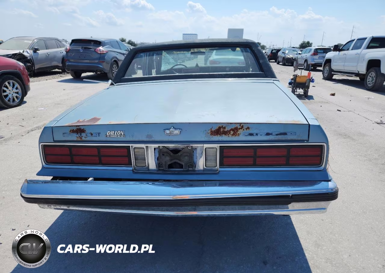 1989 Chevrolet Caprice Classic Brougham VIN:1G1BU51E0KR101843 - 6