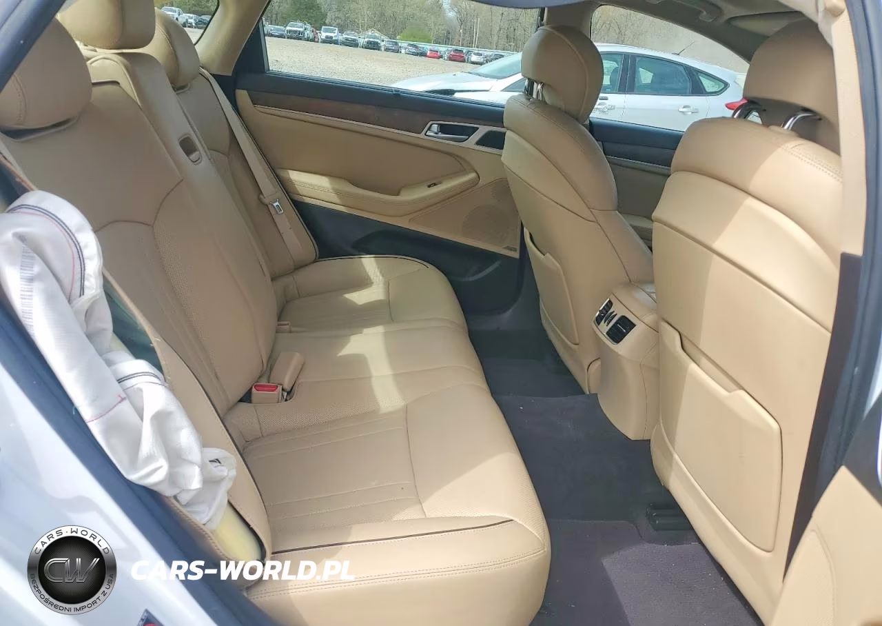 2017 Genesis G80 3.8 VIN:KMHGN4JE2HU168823 - 10