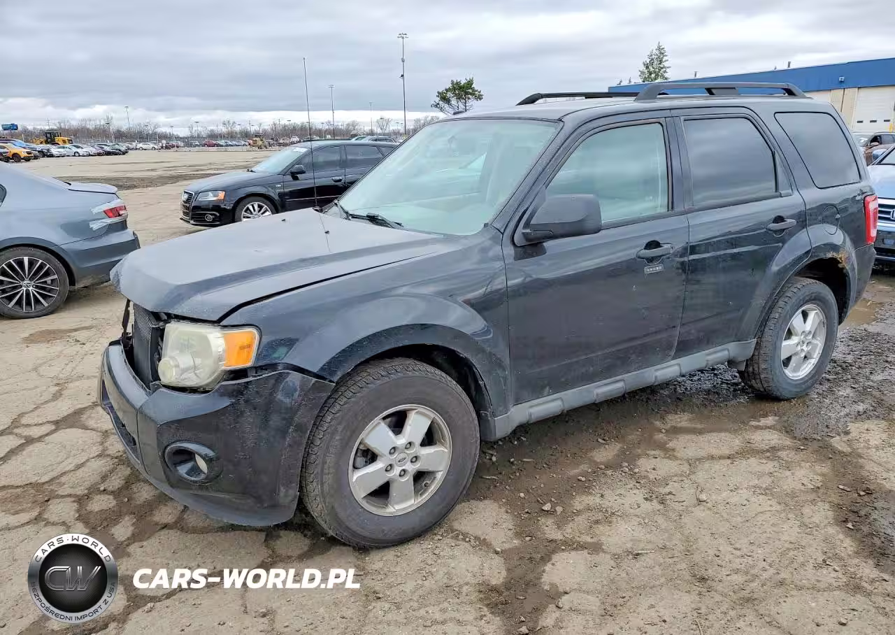 2010 Ford Escape Xlt